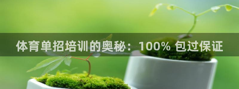 深圳极悦文化传媒有限公司：体育单招培训的奥秘：100