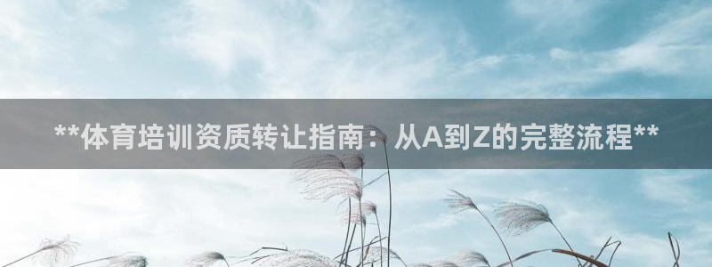 极悦娱乐贴吧：**体育培训资质转让指南：从A到Z的完